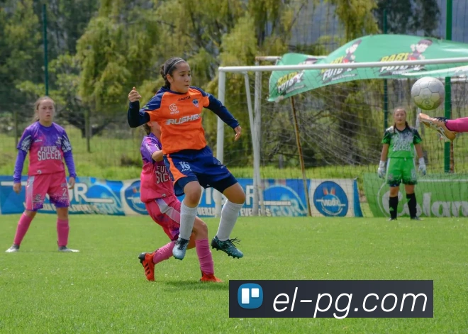 pg模拟器平台生态图